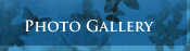 Photo Gallery