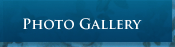 Photo Gallery